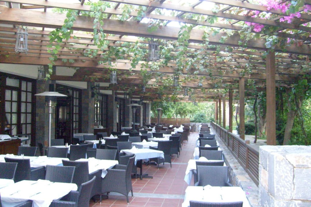 Restaurant außen (das Katzenparadies) Apollonia Beach Resort & Spa