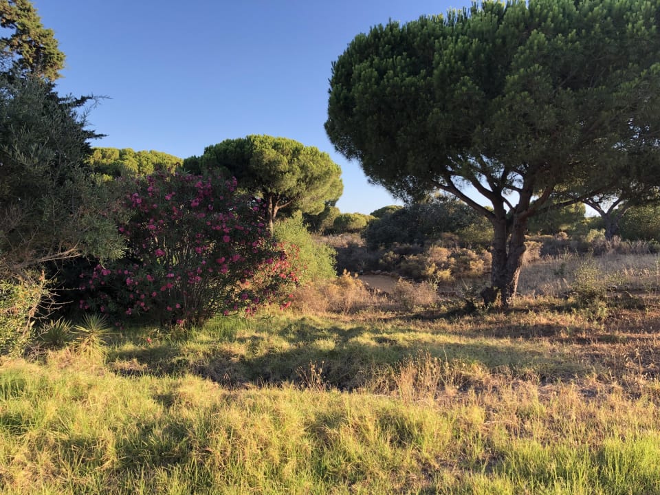 Gartenanlage AP Adriana Beach Resort