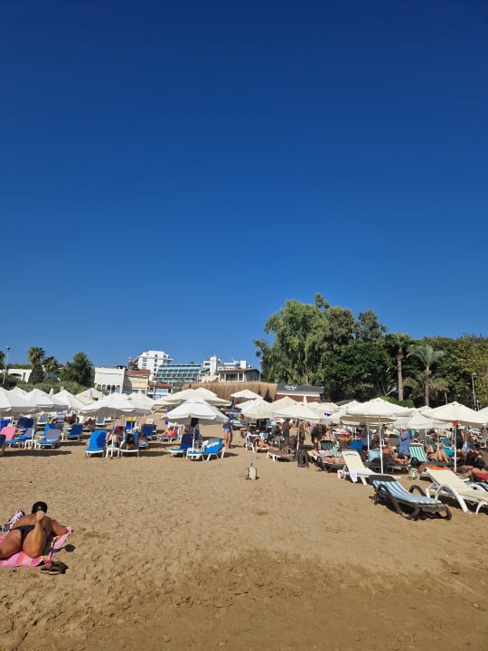 Strand Side Star Elegance