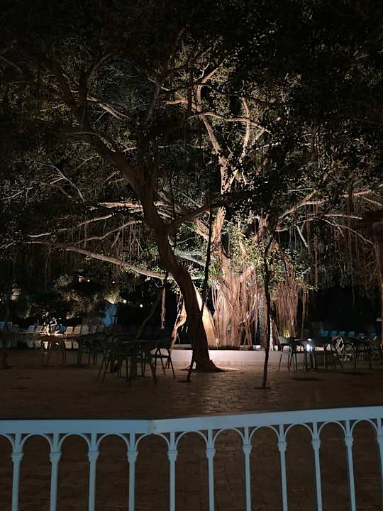 Gartenanlage Arbatax Park Resort - Telis