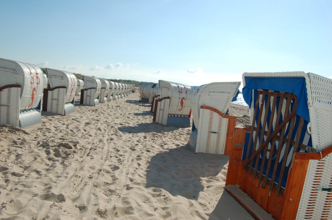 Strandkörbe eng beieinander Ferienwohnungen Ferienpark Weissenhäuser Strand