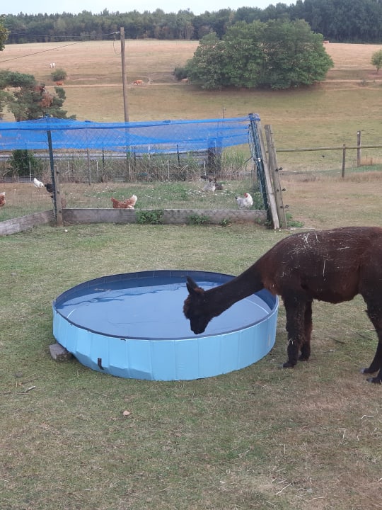 Sonstiges Ferienhof Hubertushof Eifel