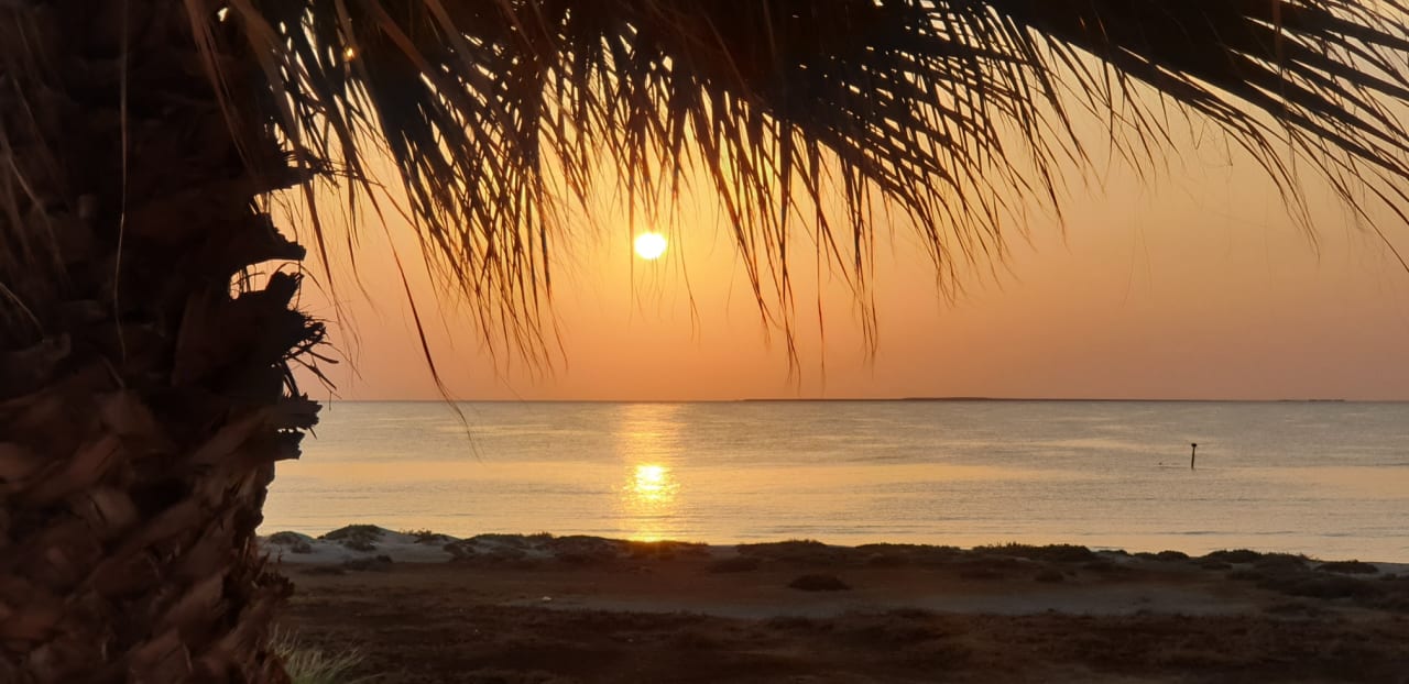 Ausblick Shams Alam Beach Resort