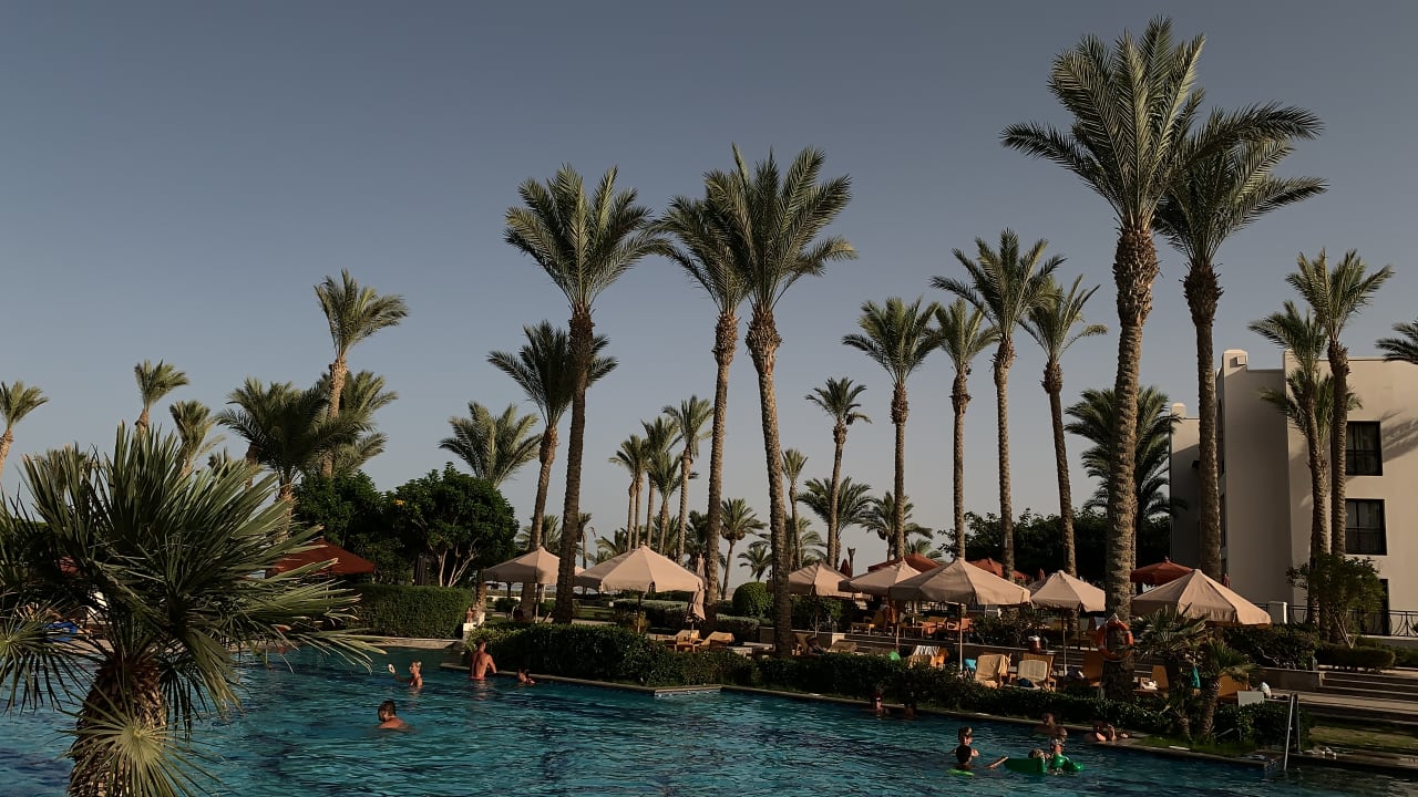 Pool Pickalbatros Palace Hotel-Port Ghalib