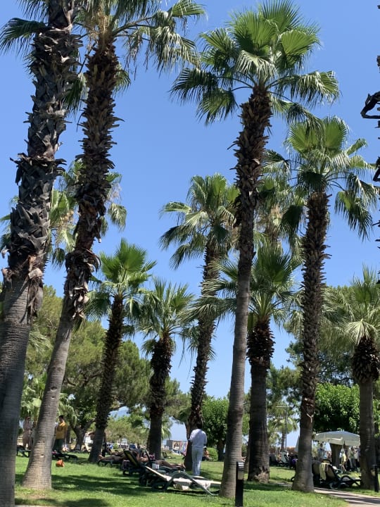 Gartenanlage Balmy Foresta