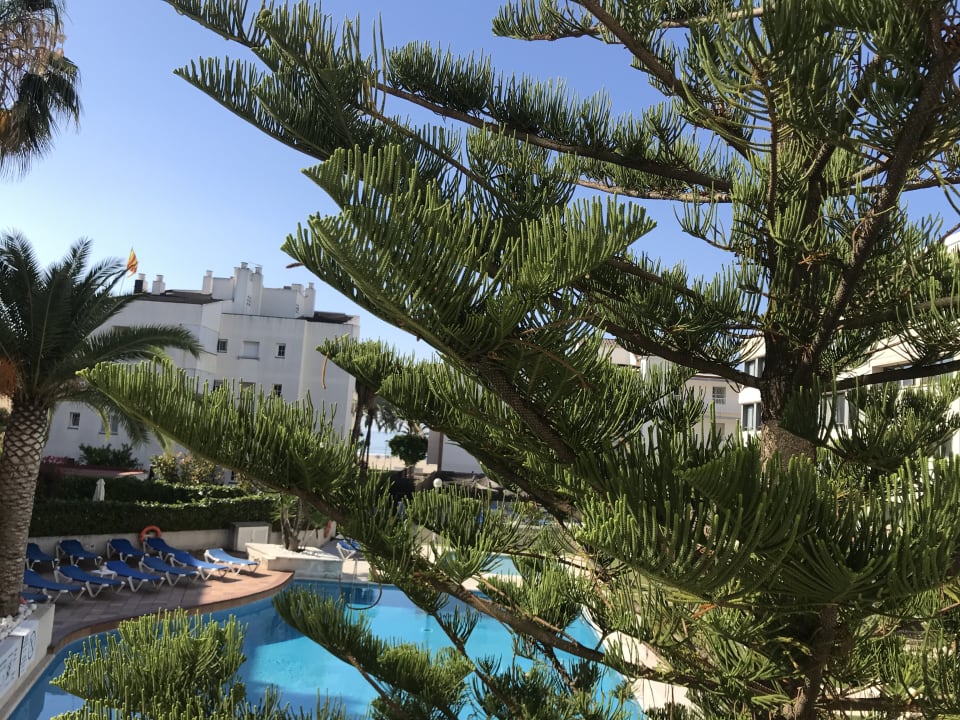 Ausblick Hotel Atenea Park Suites & Apartments