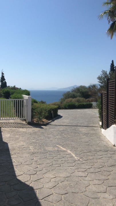 Ausblick ROBINSON DAIDALOS