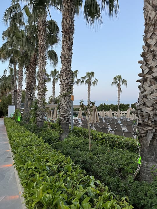 Gartenanlage Hane Family Resort