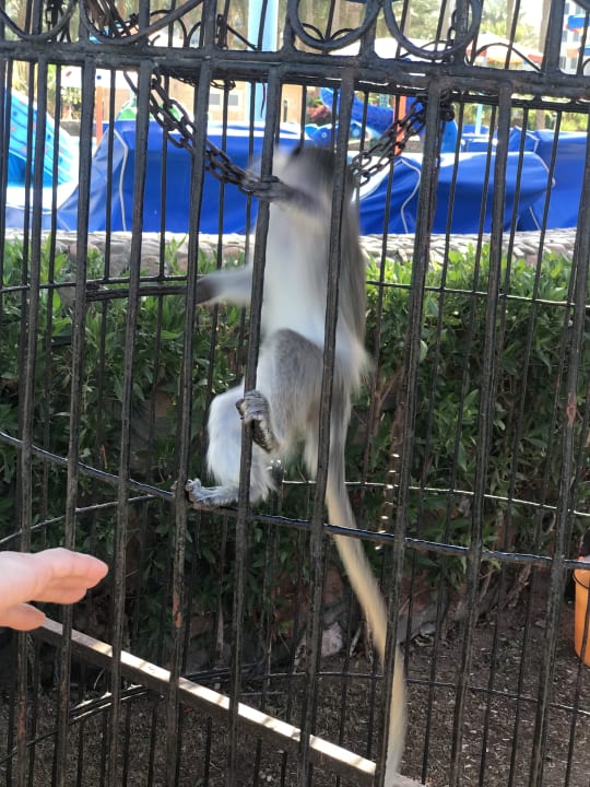 Gartenanlage Riviera Aqua Park Resort