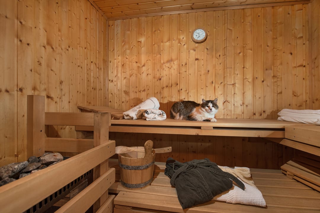 Zimmer Ferienwohnung Magler