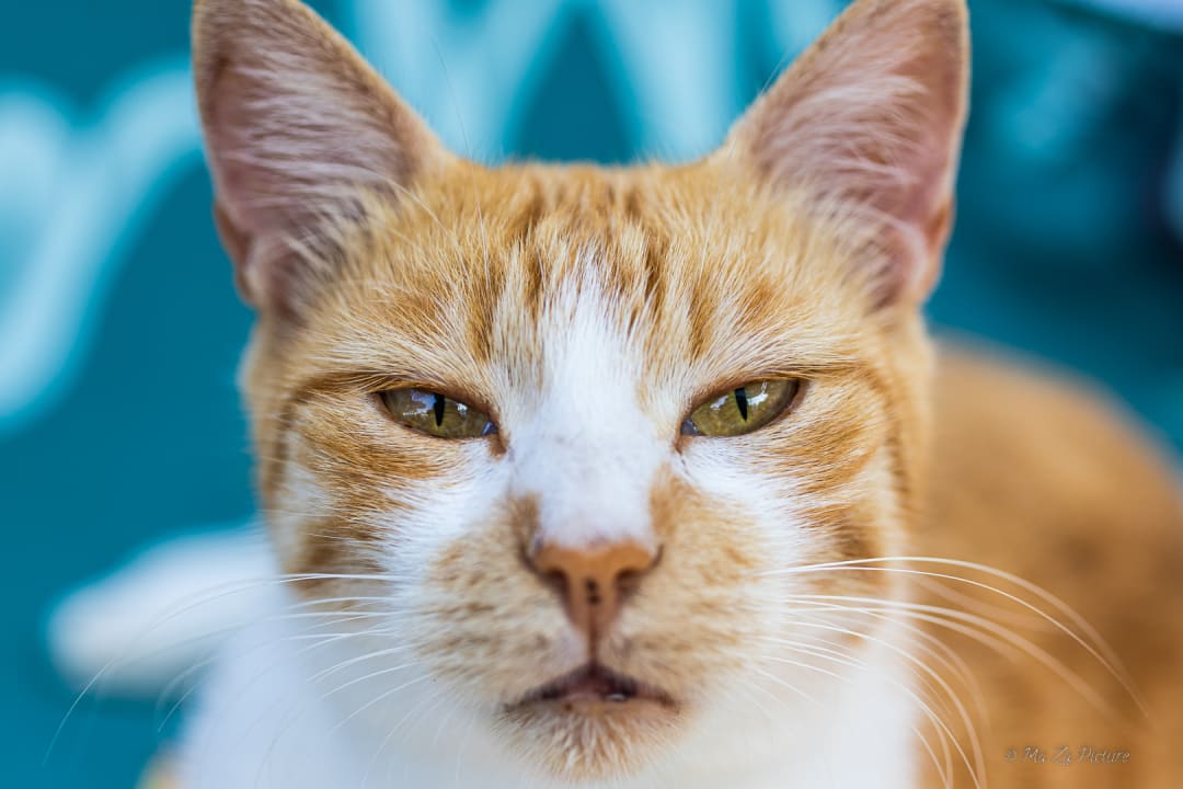 Sonstiges Hotel Thalia Unique