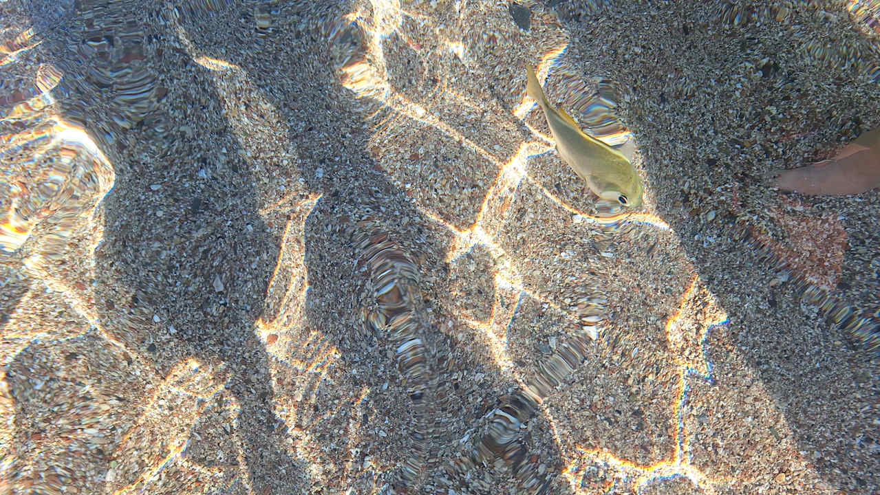 Strand Coral Sun Beach