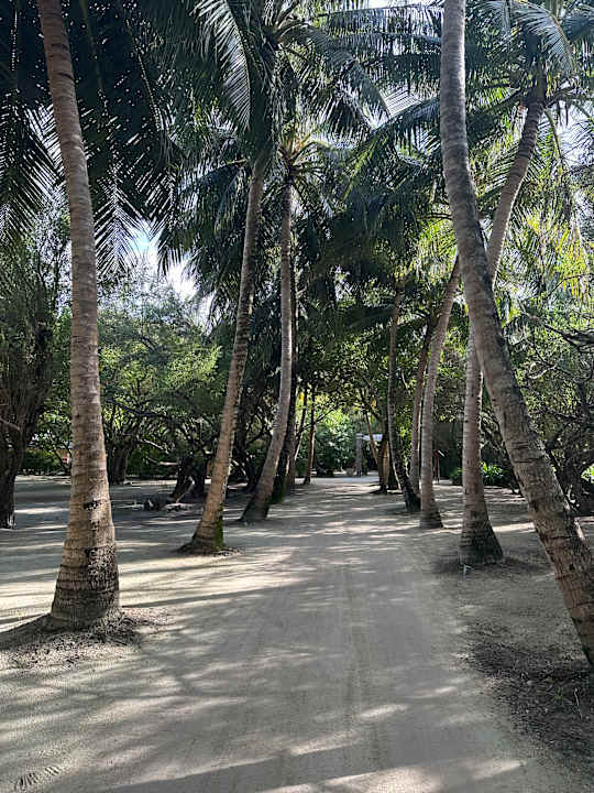 Gartenanlage Adaaran Select Hudhuran Fushi - Premium All Inclusive