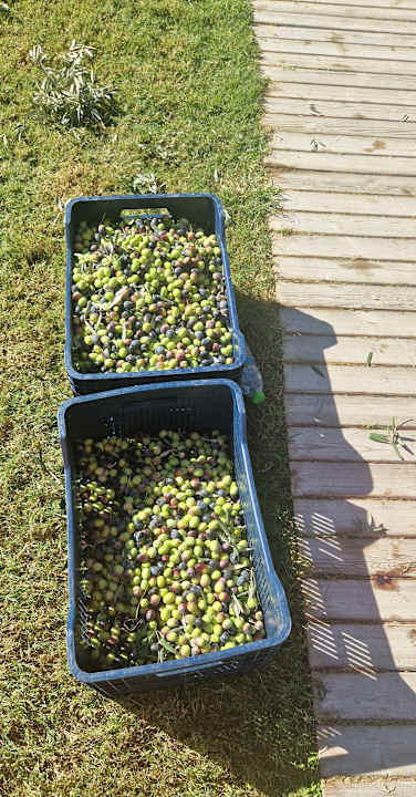 Gartenanlage Diamond De Luxe Hotel & Spa