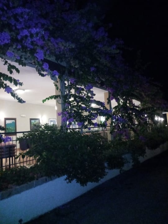 Außenansicht Hotel Cristina