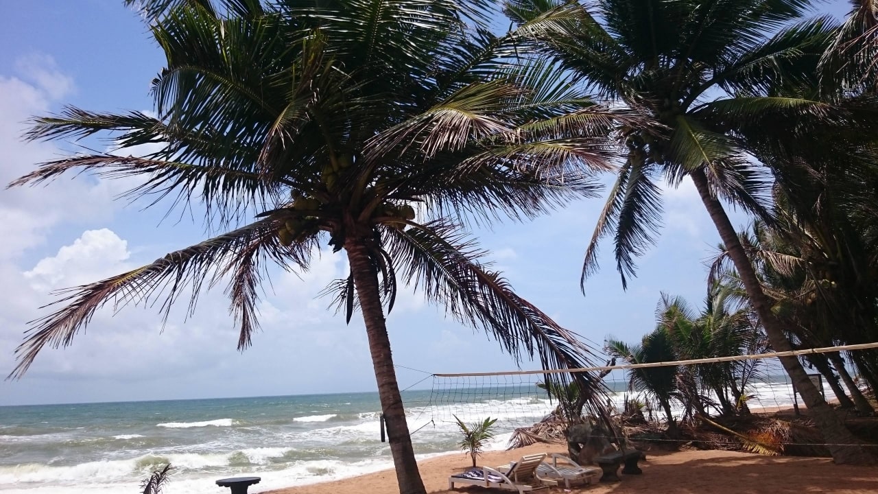 Plaża Royal Beach Resort