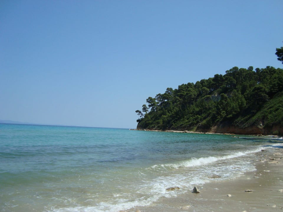 На пляже Ammon Zeus Luxury Beach Hotel