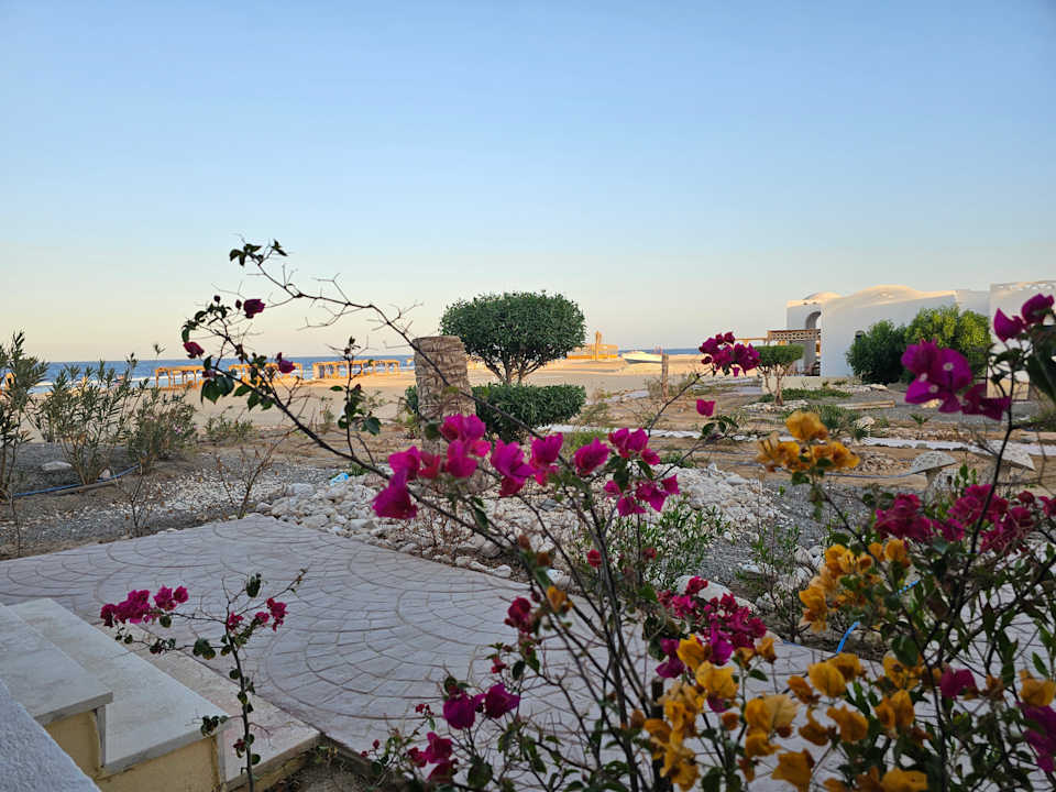 Ausblick Beach Safari Nubian Resort