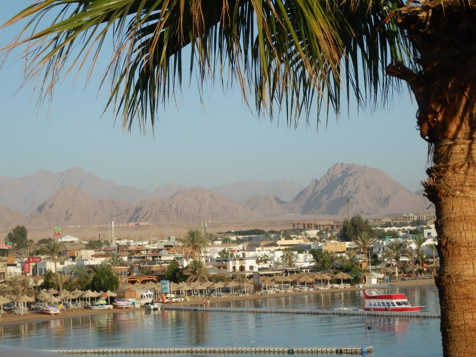 Ausblick vom Hotelzimmer Lido Sharm Hotel