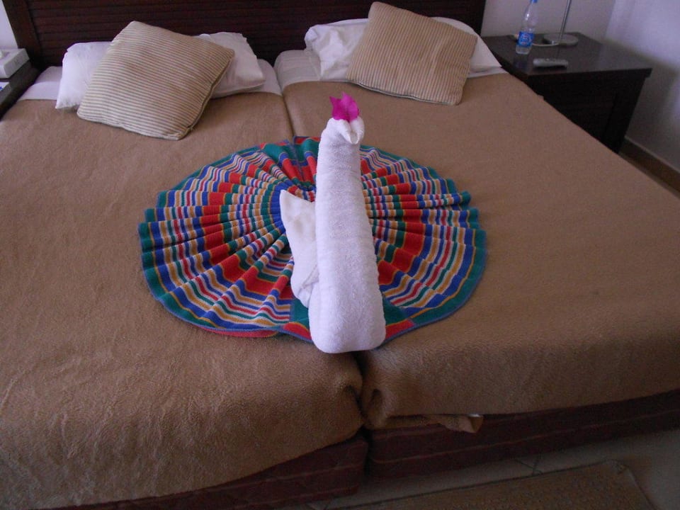 Schwan auf dem Bett Jaz Mirabel Park & Club