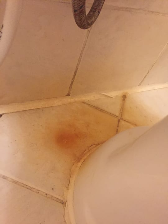 Zimmer Jaz Makadi Saraya Resort