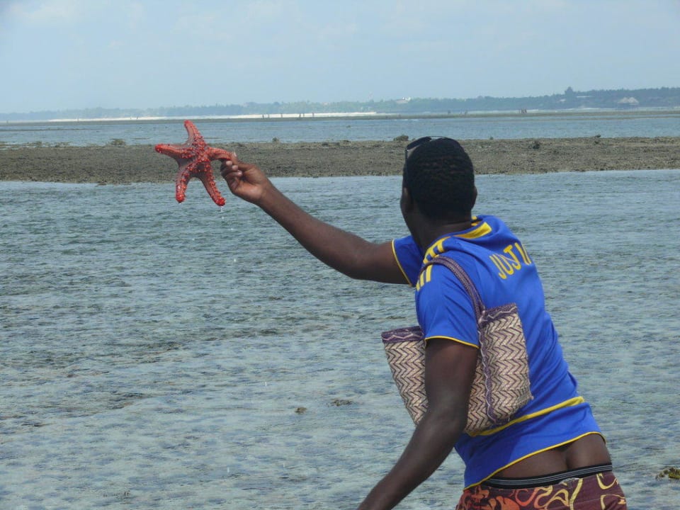 Wieder ein Seestern Neptune Pwani Beach Resort & Spa