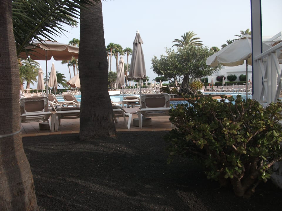 Gartenanlage Hotel Riu Paraiso Lanzarote