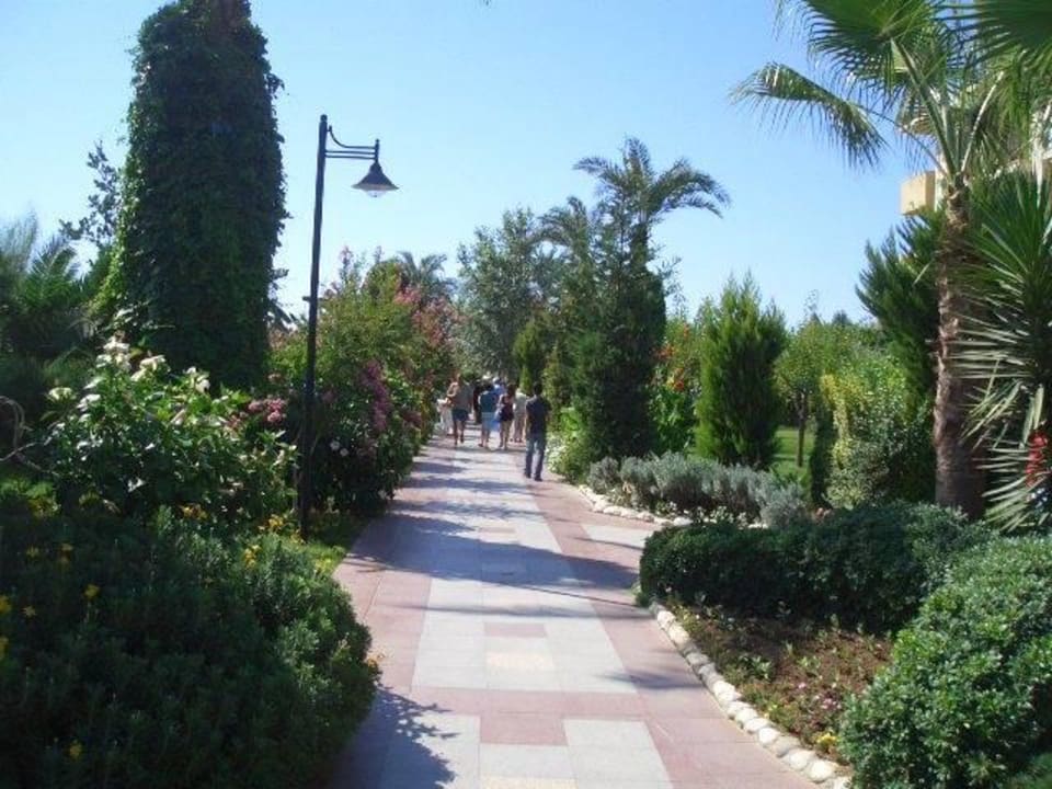 Weg zum Strand Belek Beach Resort Hotel