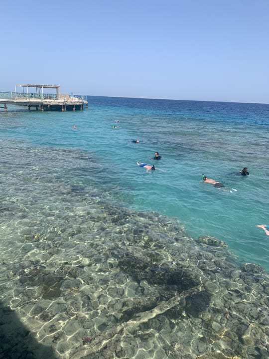 Strand Hotel Titanic Palace