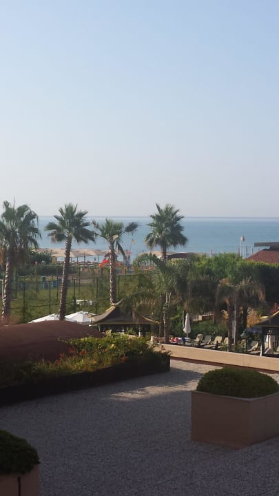 Excellent morning Crystal Family Comfort Collection