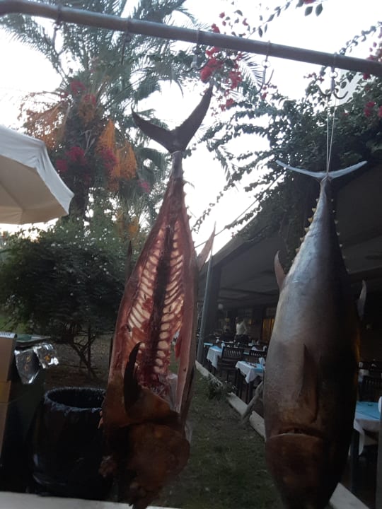 Gastro Calimera Hane Garden