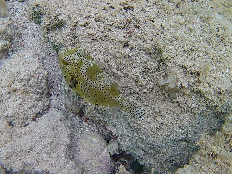 Strand Three Corners Sea Beach Resort