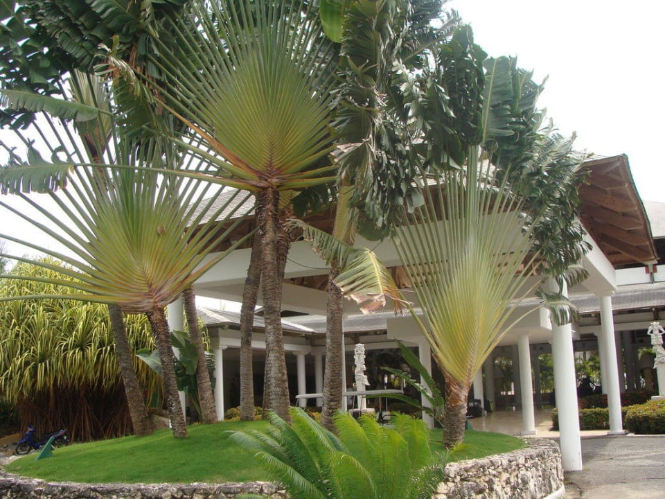 Der Garten Catalonia Punta Cana - All Inclusive