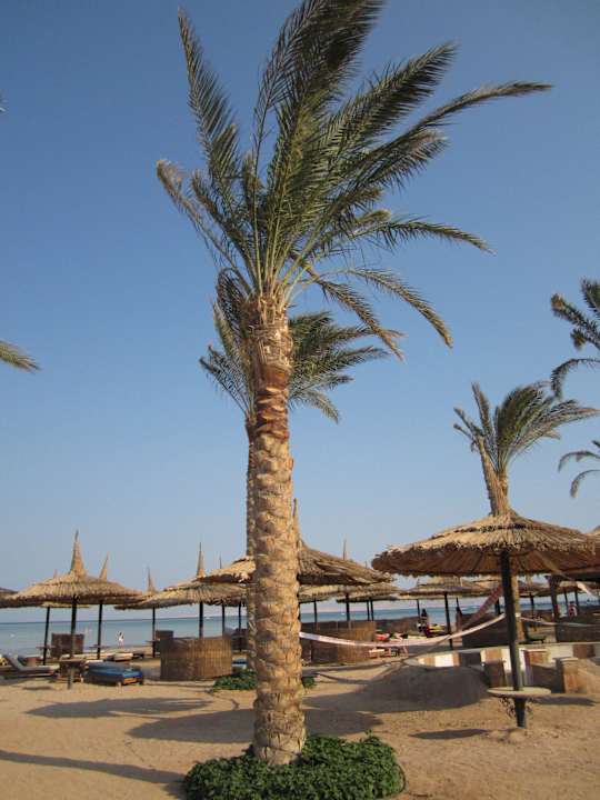 Strand Sea Beach Aqua Park Resort Managed by Blue Resorts