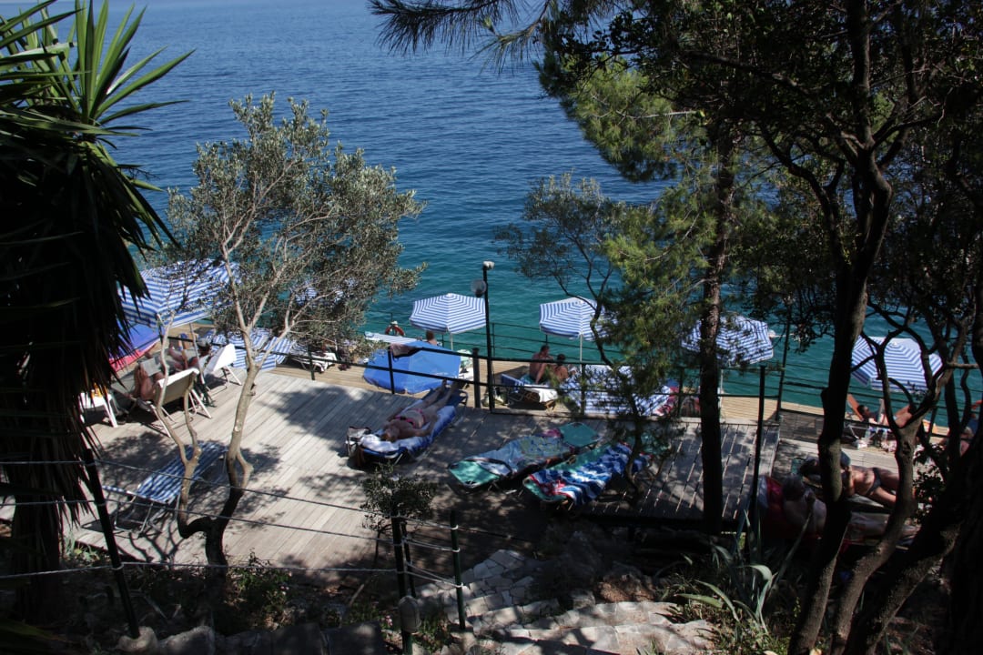 Bucht Nautilus Barbati