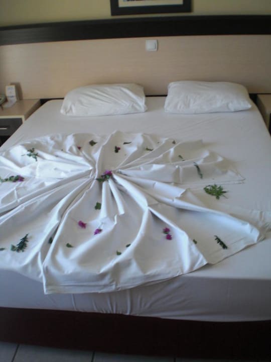 Wunderschön Crystal Aura Aqua Collection