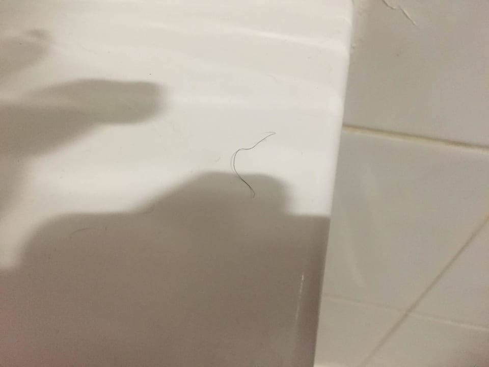 Haare vom vorherigen gast Swiss-Belhotel Sharjah