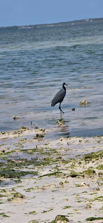 Strand Paradise Beach Resort