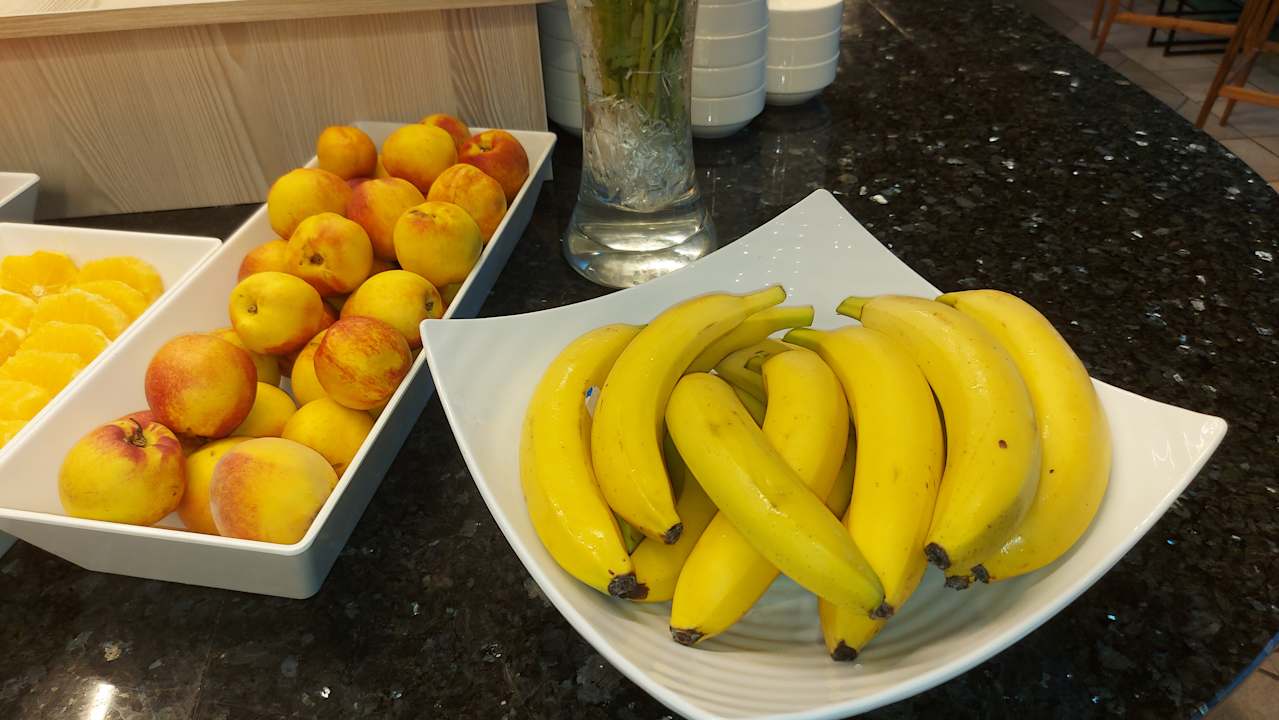 Gastro Hotel Borjana