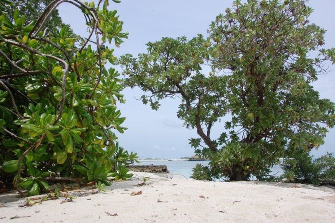 Nature Adaaran Select Hudhuran Fushi - Premium All Inclusive