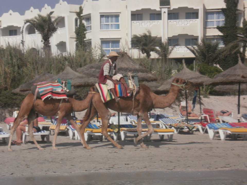 Strand Mahdia Beach & Aquapark