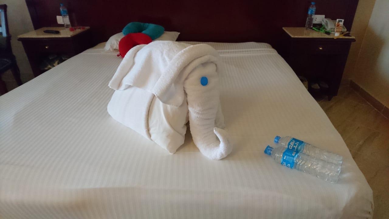 Zimmer Malikia Resort Abu Dabbab