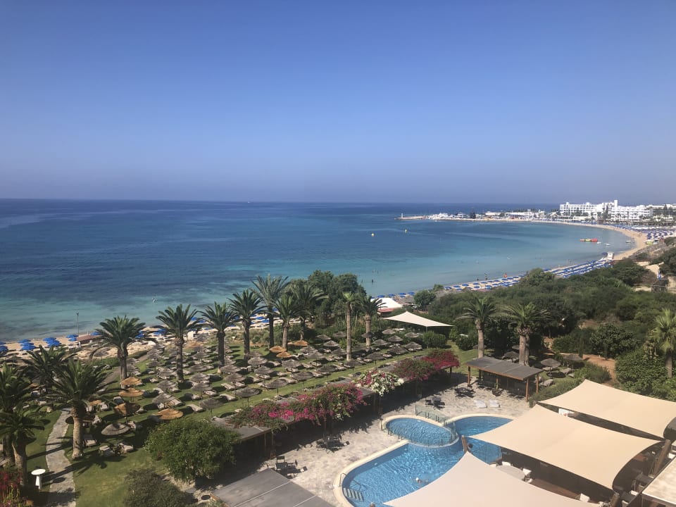 Zimmer Hotel Alion Beach Agia Napa Ayia Napa • Holidaycheck Südzypern Zypern