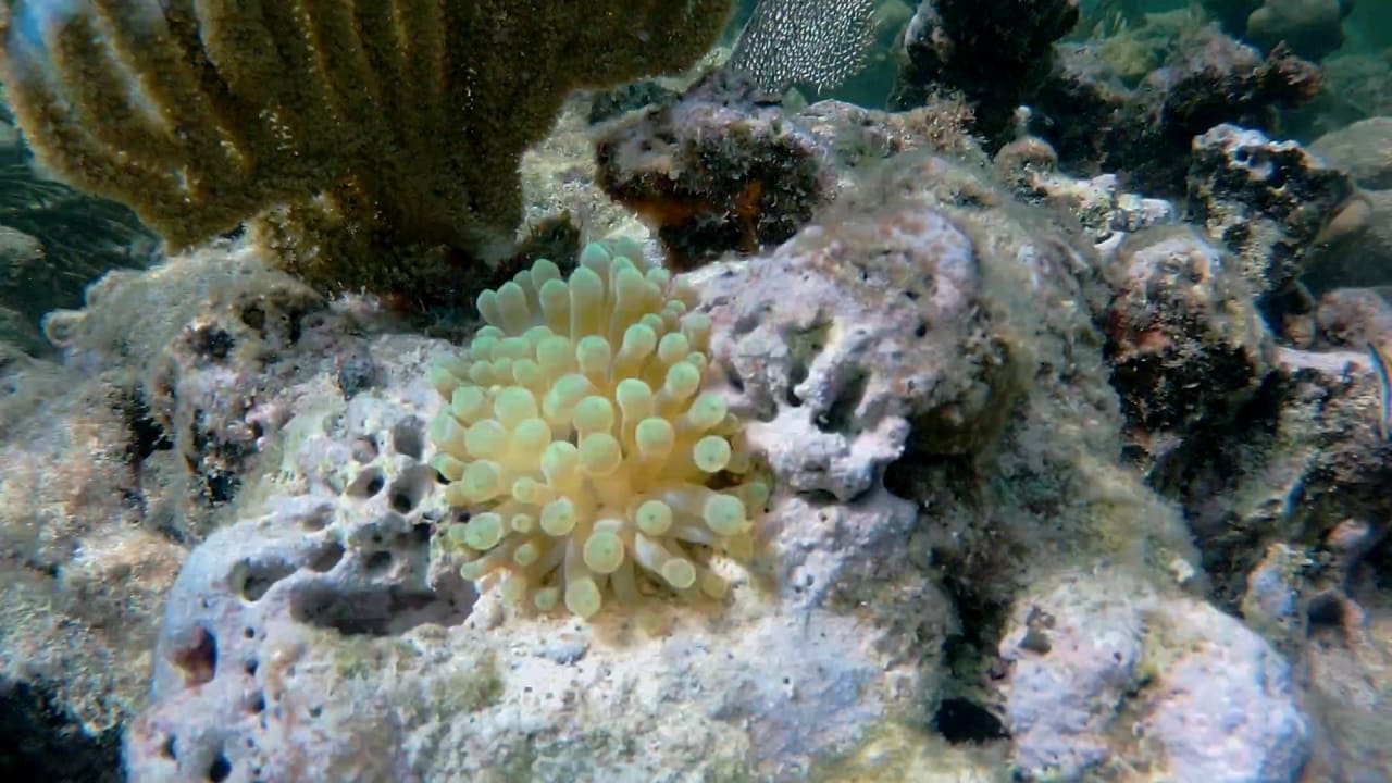 Sport & Freizeit Akumal Bay Beach & Wellness Resort