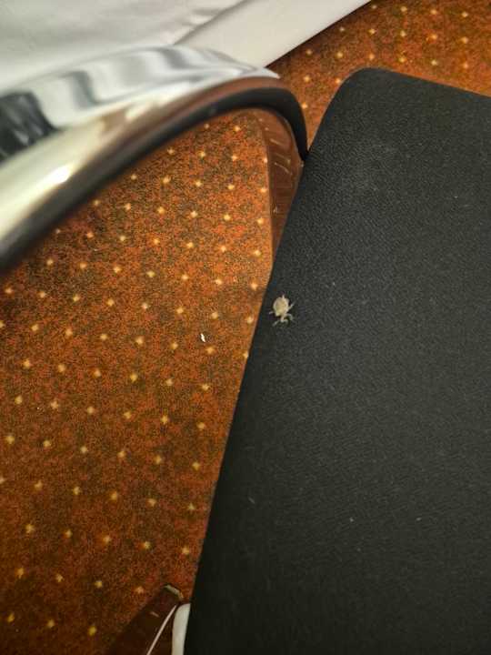 Zimmer Hotel NH Oberhausen