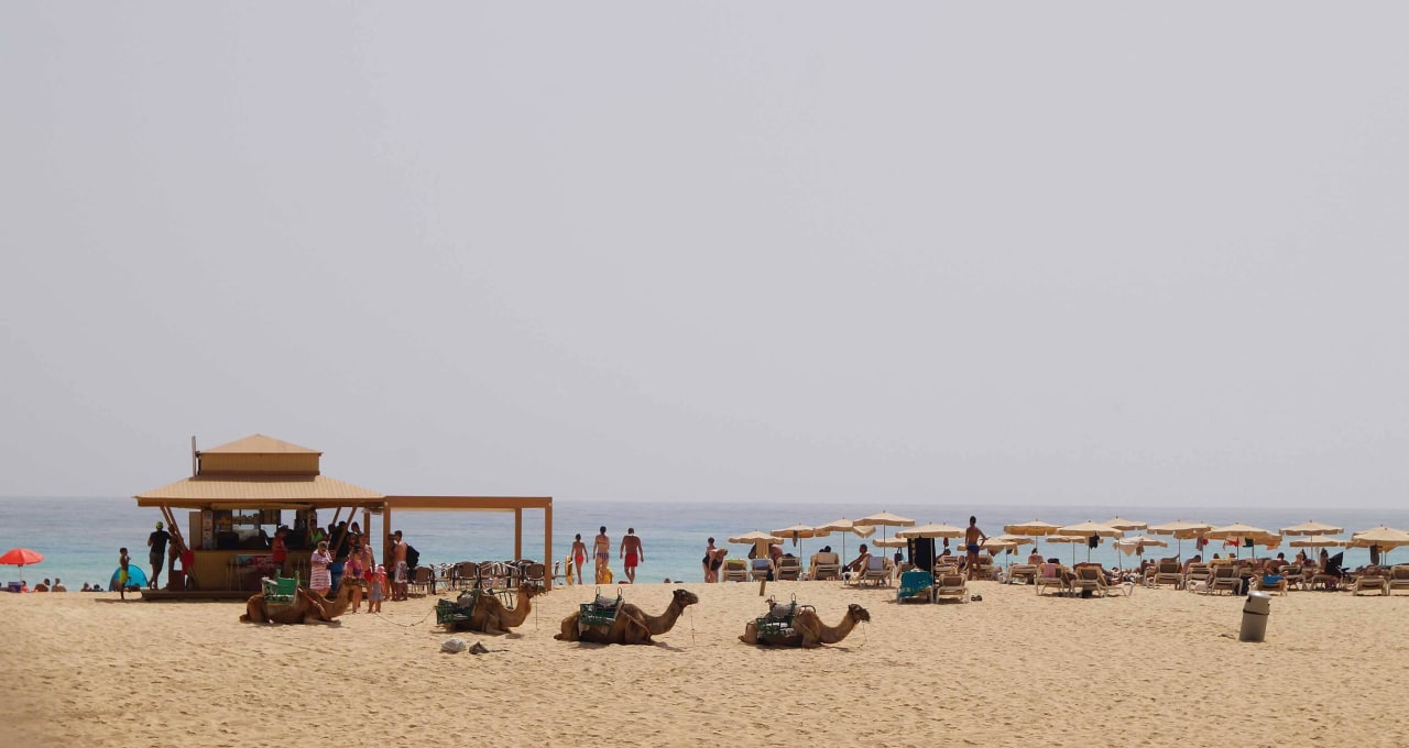 Vier Wüstenschiffe Hotel Riu Oliva Beach - Hotel