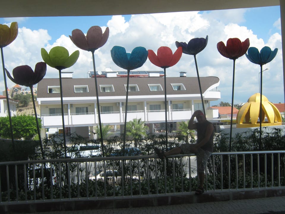 Blumen am eingang Side Alegria Hotel & Spa - Adults only +16