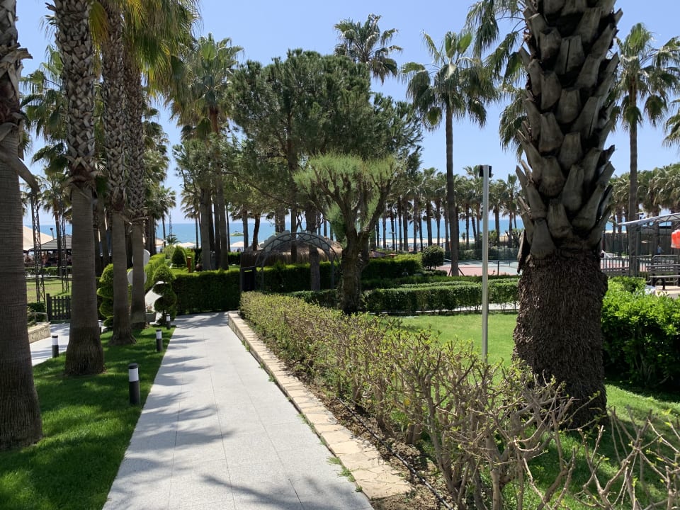 Gartenanlage Hotel Miramare Beach