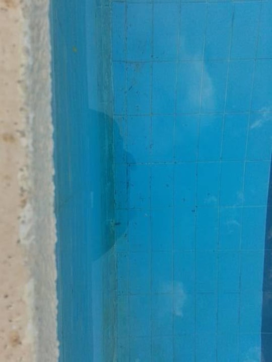 Einfach dreckig Bungalow Park Colibri