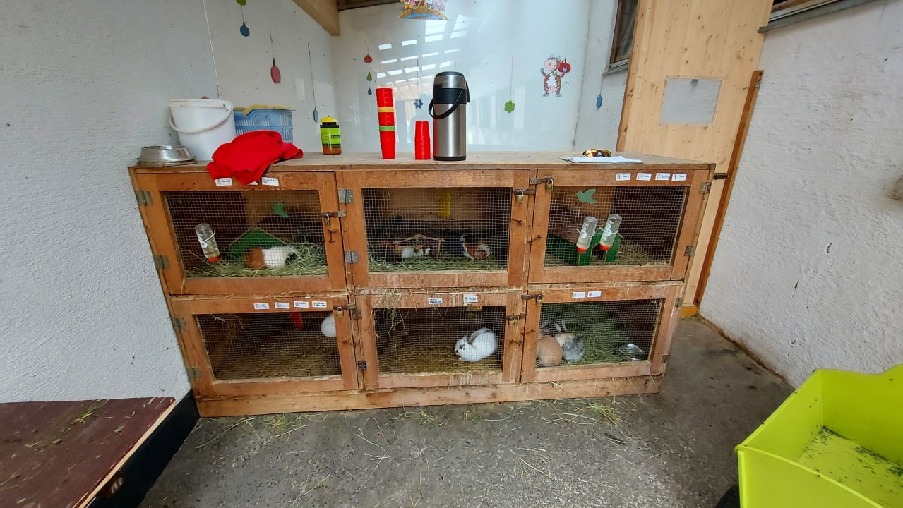 Sport & Freizeit Kinderhotel Felben